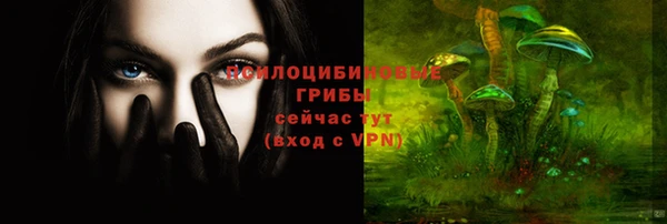 дурь Семёнов