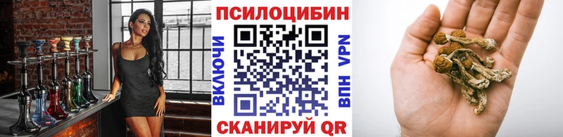 Купить закладки  Благовещенск  Галлюциногенные грибы мухоморы 